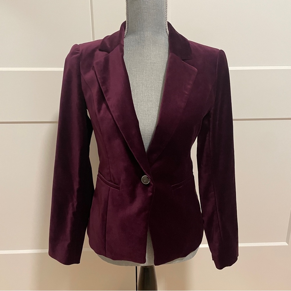 Elegant Velvet Blazer in Rich Burgundy